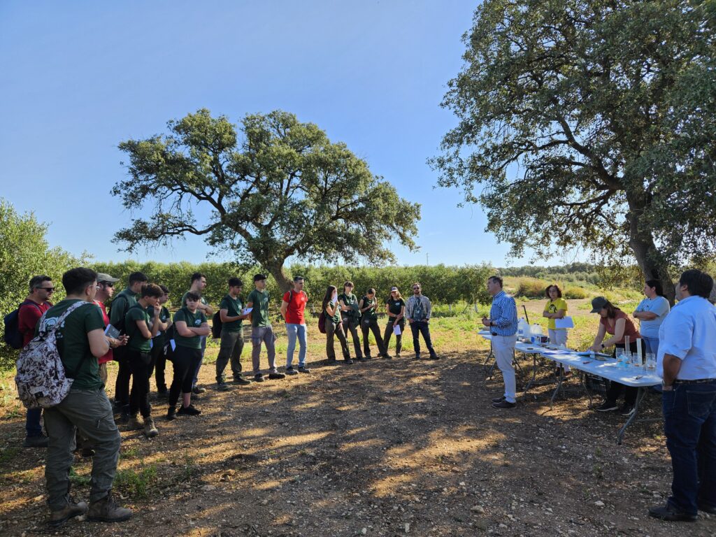 La DO Estepa promueve una jornada sobre biodiversidad y suelos en el olivar