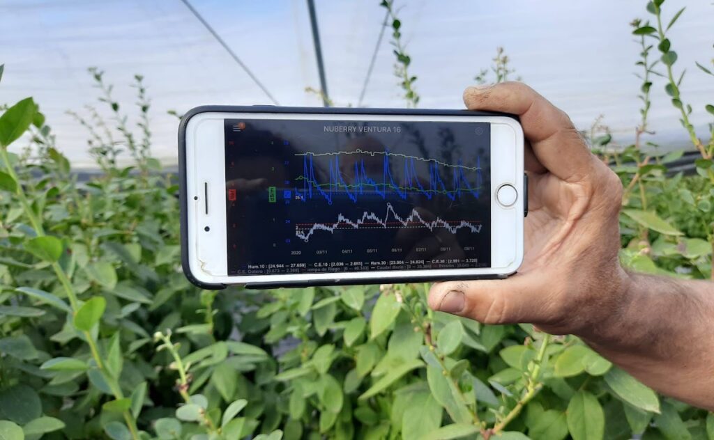 Iniciamos el Proyecto Red de sistemas IoT en invernaderos como recurso de aprendizaje y formación en gestión hídrica y cambio climático