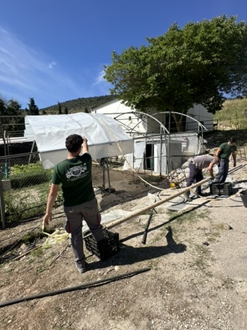 PROYECTO INVERNADERO